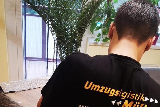 Preise für Ihren Studentenumzug in Weinböhla